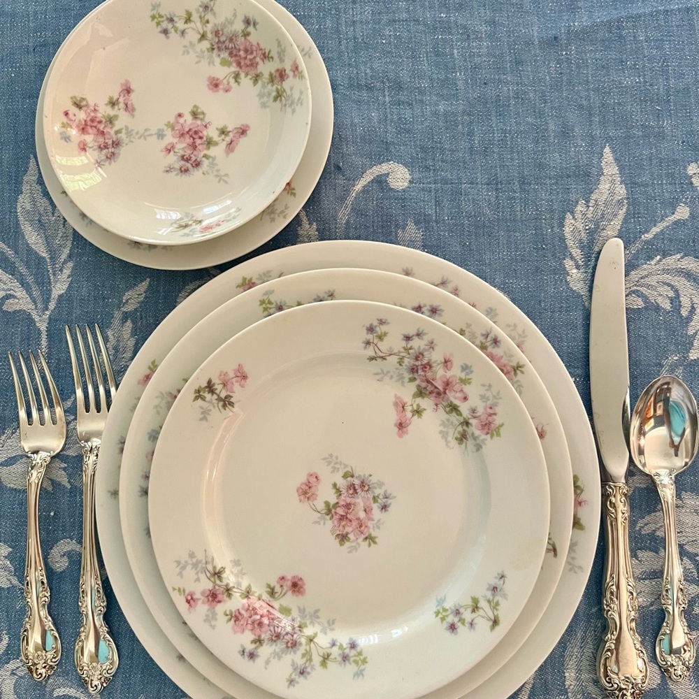 Limoges M. Redon French China (Vintage Set)